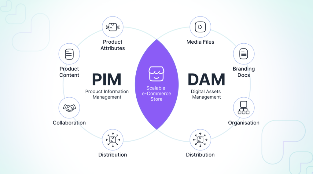 pim-vs-dam